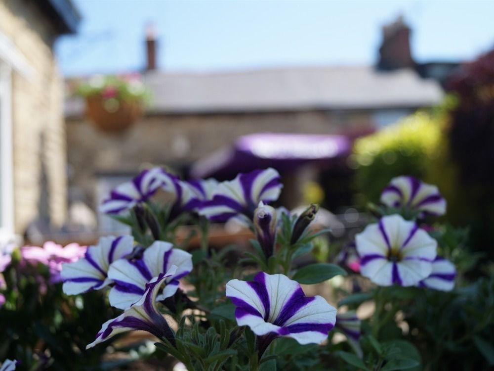 The Plough Bicester Esterno foto